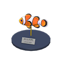 Clown Fish Model