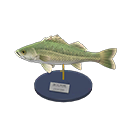 Sea Bass Model