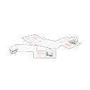 Load image into Gallery viewer, Scattered Papers
