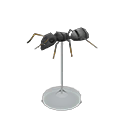 Ant Model