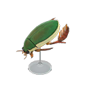 Diving Beetle Model