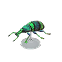 Blue Weevil Beetle Model