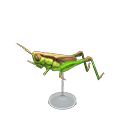 Rice Grasshopper Model