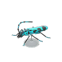 Rosalia Batesi Beetle Model