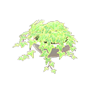 Load image into Gallery viewer, Potted Ivy
