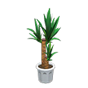 Load image into Gallery viewer, Yucca
