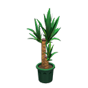 Load image into Gallery viewer, Yucca
