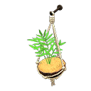 DIY - Coconut Wall Planter