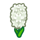 Load image into Gallery viewer, White Hyacinth

