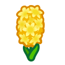 Load image into Gallery viewer, Yellow Hyacinth
