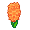 Load image into Gallery viewer, Orange Hyacinth
