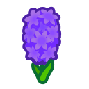 Load image into Gallery viewer, Purple Hyacinth
