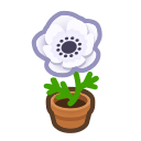 Load image into Gallery viewer, White Windflower
