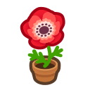 Load image into Gallery viewer, Red Windflower
