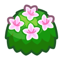 White-Azalea Bush