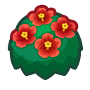 Red-Hibiscus Bush
