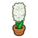 Load image into Gallery viewer, White Hyacinth
