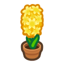 Load image into Gallery viewer, Yellow Hyacinth
