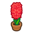 Load image into Gallery viewer, Red Hyacinth
