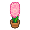 Load image into Gallery viewer, Pink Hyacinth
