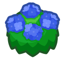 Blue-Hydrangea Bush