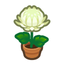 Load image into Gallery viewer, White Mum
