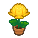 Load image into Gallery viewer, Yellow Mum
