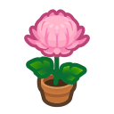 Load image into Gallery viewer, Pink Mum
