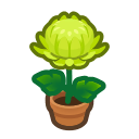 Green Mum