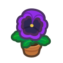 Load image into Gallery viewer, Purple Pansy
