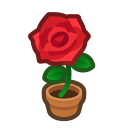 Load image into Gallery viewer, Red Rose
