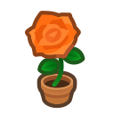 Load image into Gallery viewer, Orange Rose
