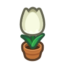 Load image into Gallery viewer, White Tulip

