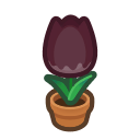 Load image into Gallery viewer, Black Tulip
