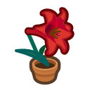 Load image into Gallery viewer, Red Lily
