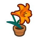 Load image into Gallery viewer, Orange Lily
