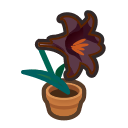 Load image into Gallery viewer, Black Liliy
