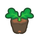 Pumpkin Start x 10