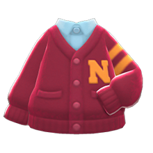 Load image into Gallery viewer, College Cardigan
