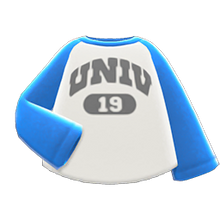Load image into Gallery viewer, Raglan Shirt
