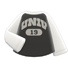Load image into Gallery viewer, Raglan Shirt
