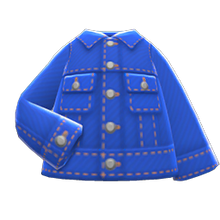Load image into Gallery viewer, Denim Jacket
