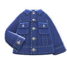 Load image into Gallery viewer, Denim Jacket
