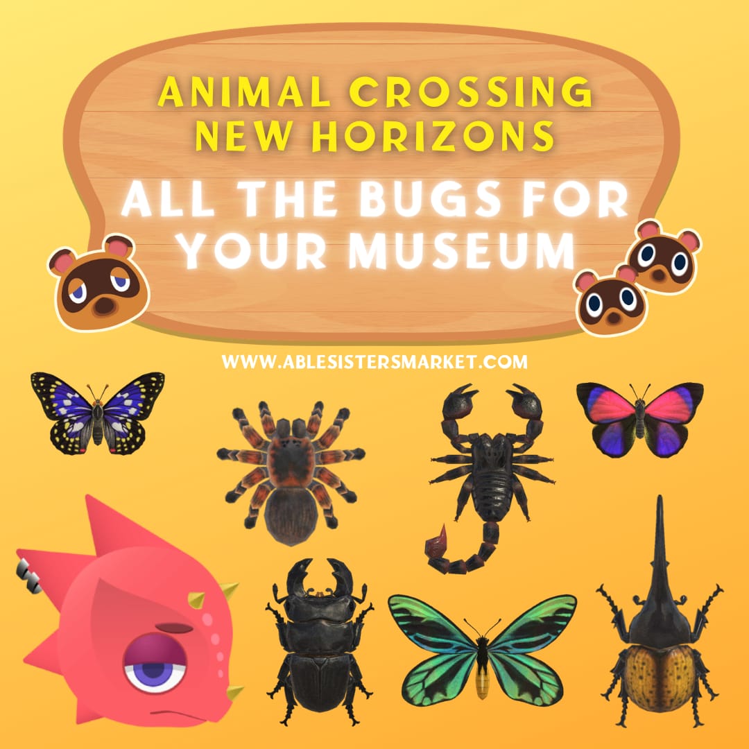 Beetle Prices Animal Crossing Insect Prices Beetles Rainbow Stag