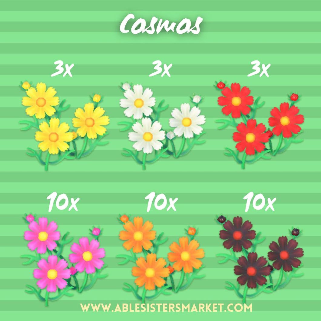 Cosmos pack