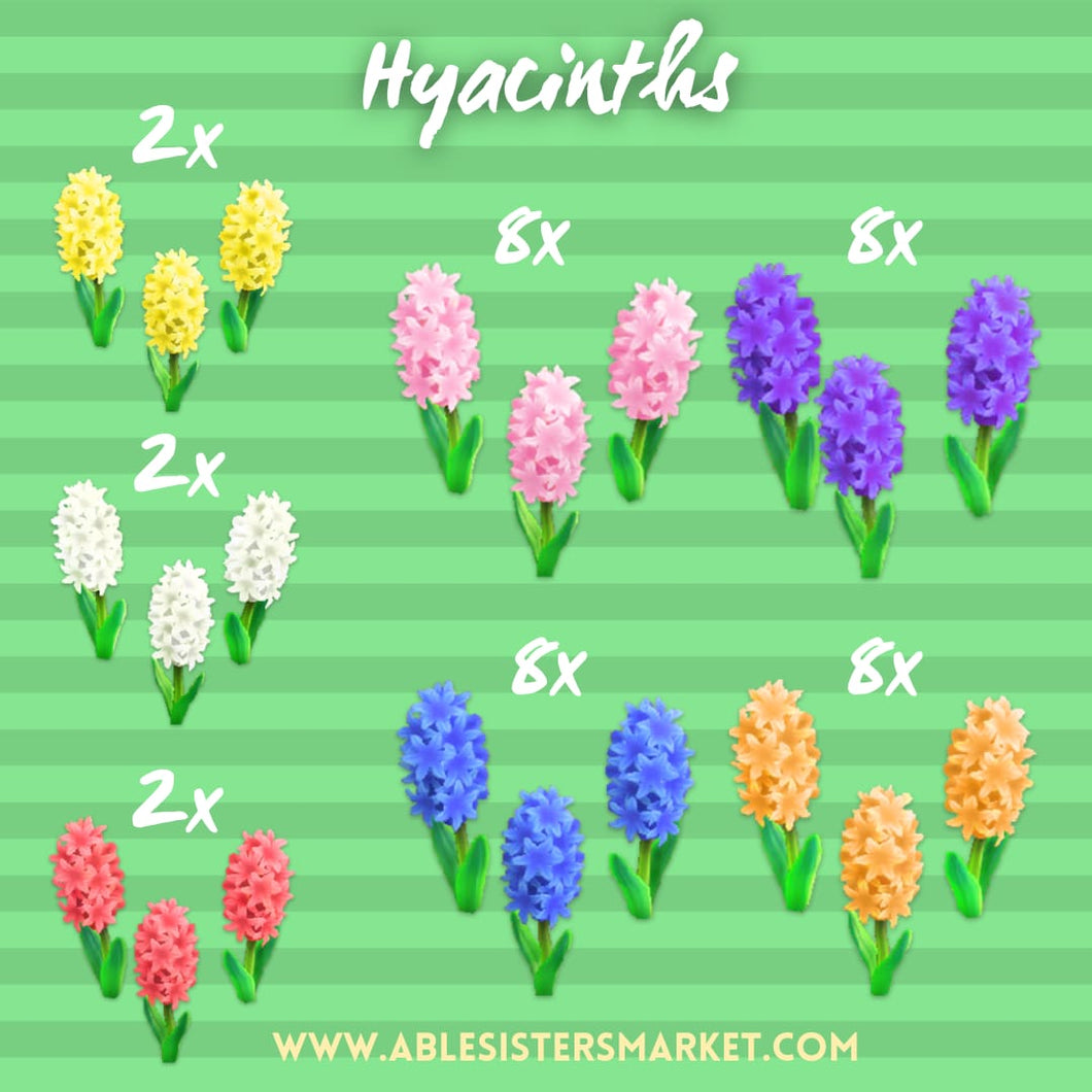 Hyacinths pack