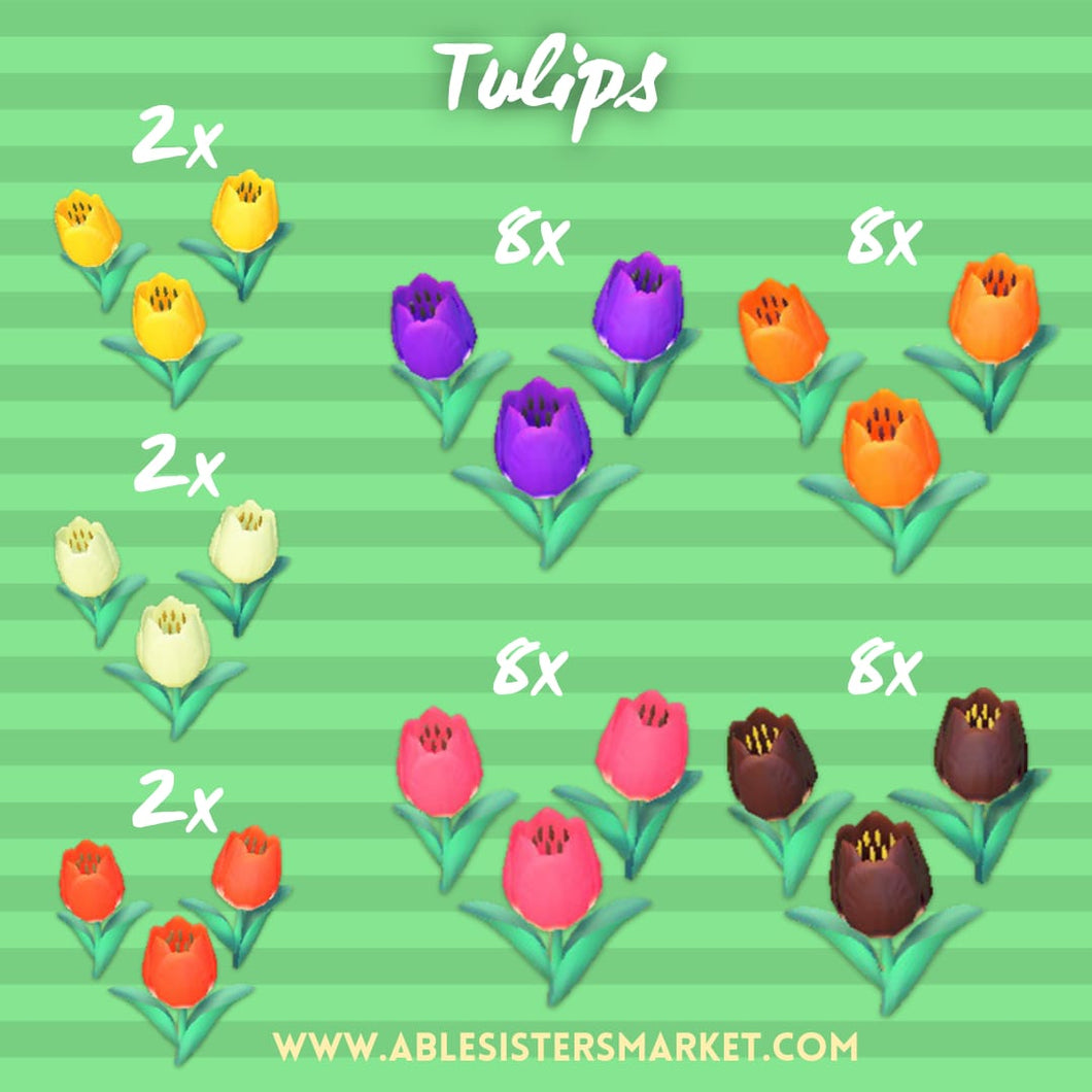 Tulips pack