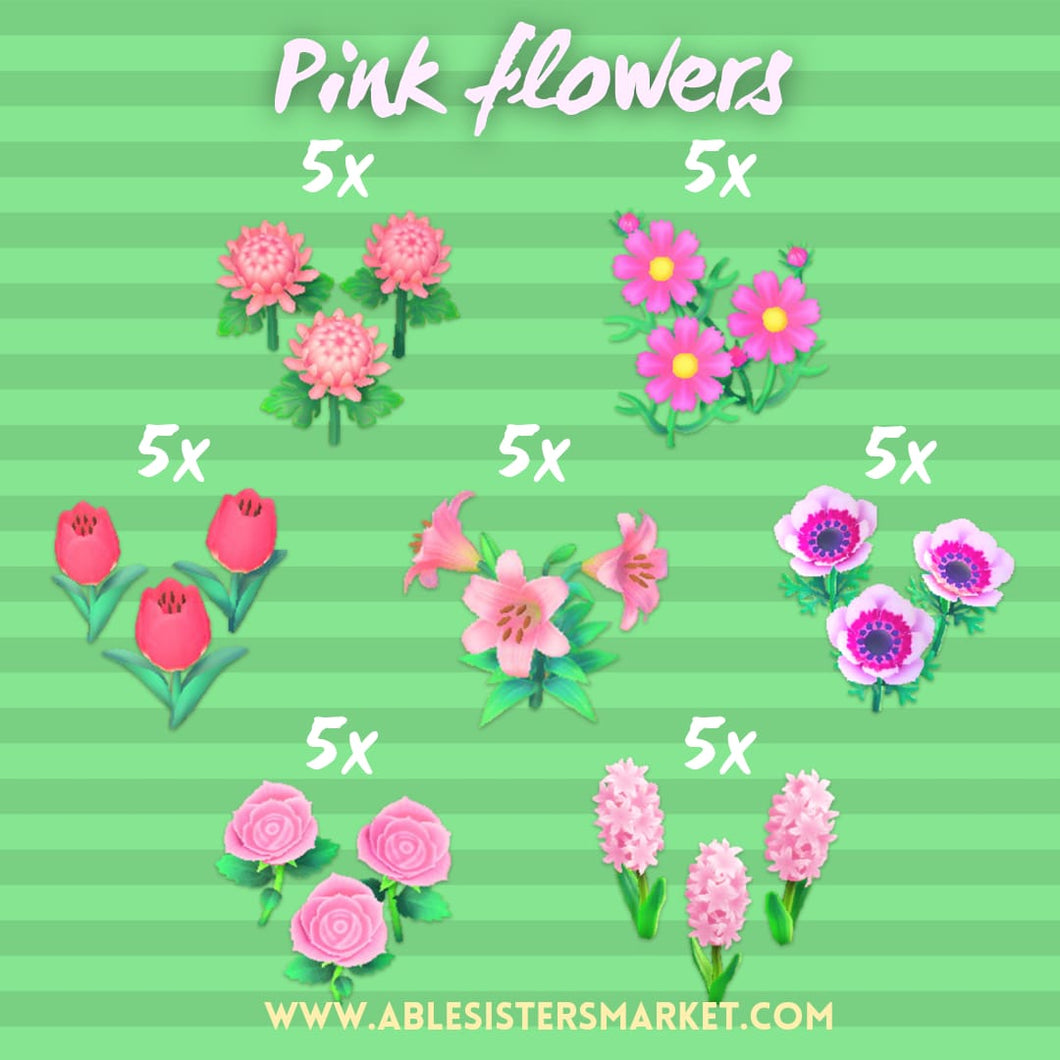 Pink hybrids pack