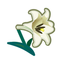Load image into Gallery viewer, White Lily

