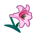 Load image into Gallery viewer, Pink Lily
